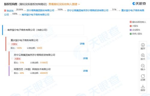 貓寧電商本月新增5條行政處罰 為蘇寧和阿里的合資公司