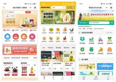 &ldquo;五個(gè)以&rdquo;實(shí)踐體系的隨縣答卷 | 強(qiáng)&ldquo;鏈條&rdquo;通&ldquo;經(jīng)絡(luò)&rdquo;--奮力打造城鄉(xiāng)供應(yīng)鏈一體化平臺(tái)的&ldquo;隨縣實(shí)踐&rdquo;