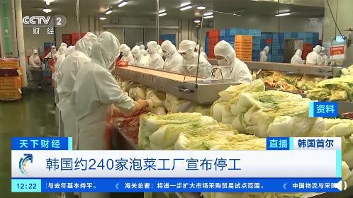一棵白菜62元 韓國(guó)超3成泡菜工廠停工,部分經(jīng)銷(xiāo)商增加從中國(guó)進(jìn)口的泡菜量